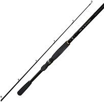 Фото Daiwa Legalis Jig 802HFS 2.44m 20-70g
