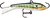 Фото Rapala Jigging Rap 9g (W5-BG)