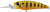 Фото Duo Realis Shad 52MR (CCC3181)