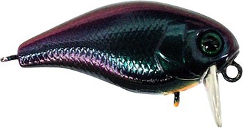 Фото Jackall Chubby 38SSR (UL Bug)
