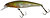 Фото Jackall Squad Minnow 65SP (NF Ayu)