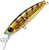 Фото Pontoon 21 GagaGoon 45S-SR (837)