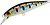 Фото ZipBaits Rigge Flat 50S (810)