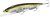 Фото Megabass Kanata Ayu HT Ito Tennessee Shad