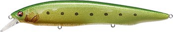 Фото Megabass Kanata Ayu SW GLX Green Back Chart