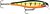 Фото Rapala BX Minnow BXM10 (P)