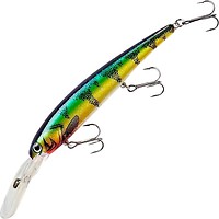 Фото Bandit Walleye Deep (28)