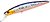 Фото Pontoon 21 Cablista 125SP-SMR (A12)