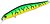 Фото ZipBaits Orbit 80SP-SR (995)