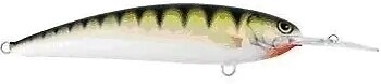 Фото Alex Costa Deep Runner CS7DR Gilded Perch (GPR)