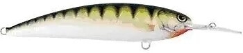 Фото Alex Costa Deep Runner CS8DR Gilded Perch (GPR)