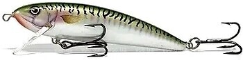 Фото Alex Costa Deep Runner CS7DR Green Mackerel (GMK)