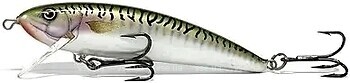 Фото Alex Costa Shallow Runner CS8SR Green Mackerel (GMK)