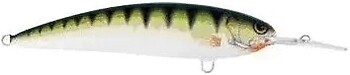 Фото Alex Costa Shallow Runner CS8SR Perch (PR)