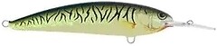 Фото Alex Costa Shallow Runner CS10SR Green Hot Wahoo (GHW)