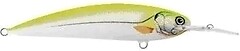 Фото Alex Costa Shallow Runner CS10SR Hot Yellow Dace (HYD)