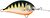 Фото Alex Ritmo Deep Runner RT2DR Hot Gilded Perch (HGP)