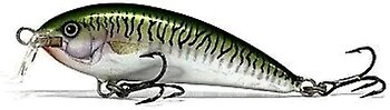 Фото Alex Tango Shallow Runner TG6SR Green Mackerel (GMK)