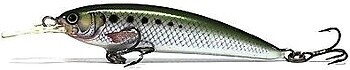 Фото Alex Tango Shallow Runner TG8SR Green American Shad (GAS)