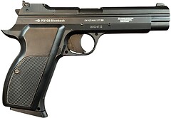 Фото Borner P210-S Blowback