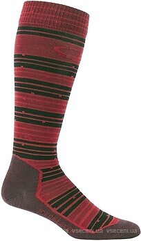 Фото Icebreaker Ski+ Ultralight Over the Calf Toothstripe Men (103395)