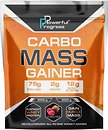 Фото Powerful Progress Carbo Mass Gainer 4000 г Forest Fruit