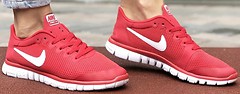 Фото Nike Air Free Run 3.0 (89539)