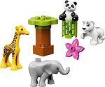 Фото LEGO Duplo Детишки животных (10904)