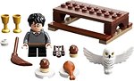 Фото LEGO Harry Potter Гарри Поттер и Букля (30420)