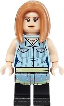 Фото LEGO Ideas Rachel Green (idea059)