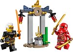 Фото LEGO Ninjago Битва Кая и Раптона за Храм (30650)