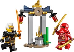Фото LEGO Ninjago Битва Кая и Раптона за Храм (30650)
