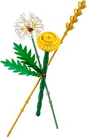 Фото LEGO Botanicals Полевые цветы (30701)