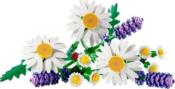 Фото LEGO Botanicals Ромашки (11508)