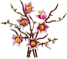 Фото LEGO Botanicals Ветви магнолии (11510)