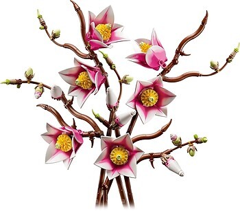 Фото LEGO Botanicals Ветви магнолии (11510)