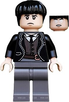 Фото LEGO Harry Potter Credence Barebone (colhp21)