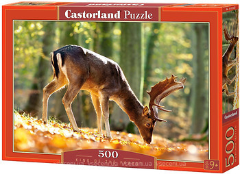 Фото Castorland King of the Forest (B-52325)