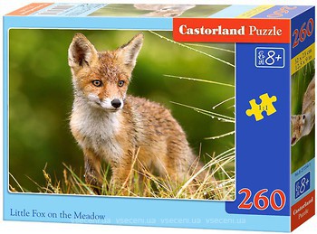 Фото Castorland Little Fox on the Meadow (B-27354)