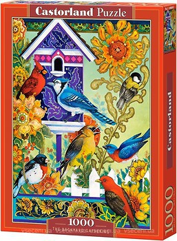 Фото Castorland Обратная связь (C-104000)