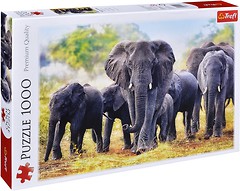 Фото Trefl Африканские слоны (10442)