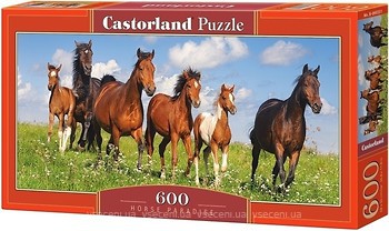 Фото Castorland Лошади (B-060351)