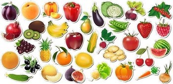 Фото Знайка Овощи, фрукты, ягоды (111401)