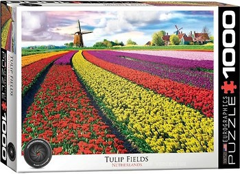 Фото Eurographic Поле тюльпанов в Нидерландах (6000-5326)