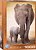 Фото Eurographic Слониха и слоненок (6000-0270)