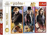 Фото Trefl Harry Potter В мире магии и колдовства (13277)