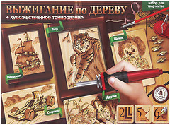 Фото Danko Toys Набор для выжигания по дереву (WD-01-02)