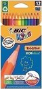 Наборы для творчества BIC