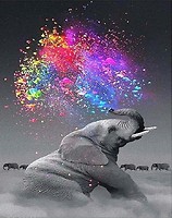 Фото Strateg Слон в красках (FA40382)