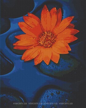 Фото ArtCraft Цветок лотоса (13124)